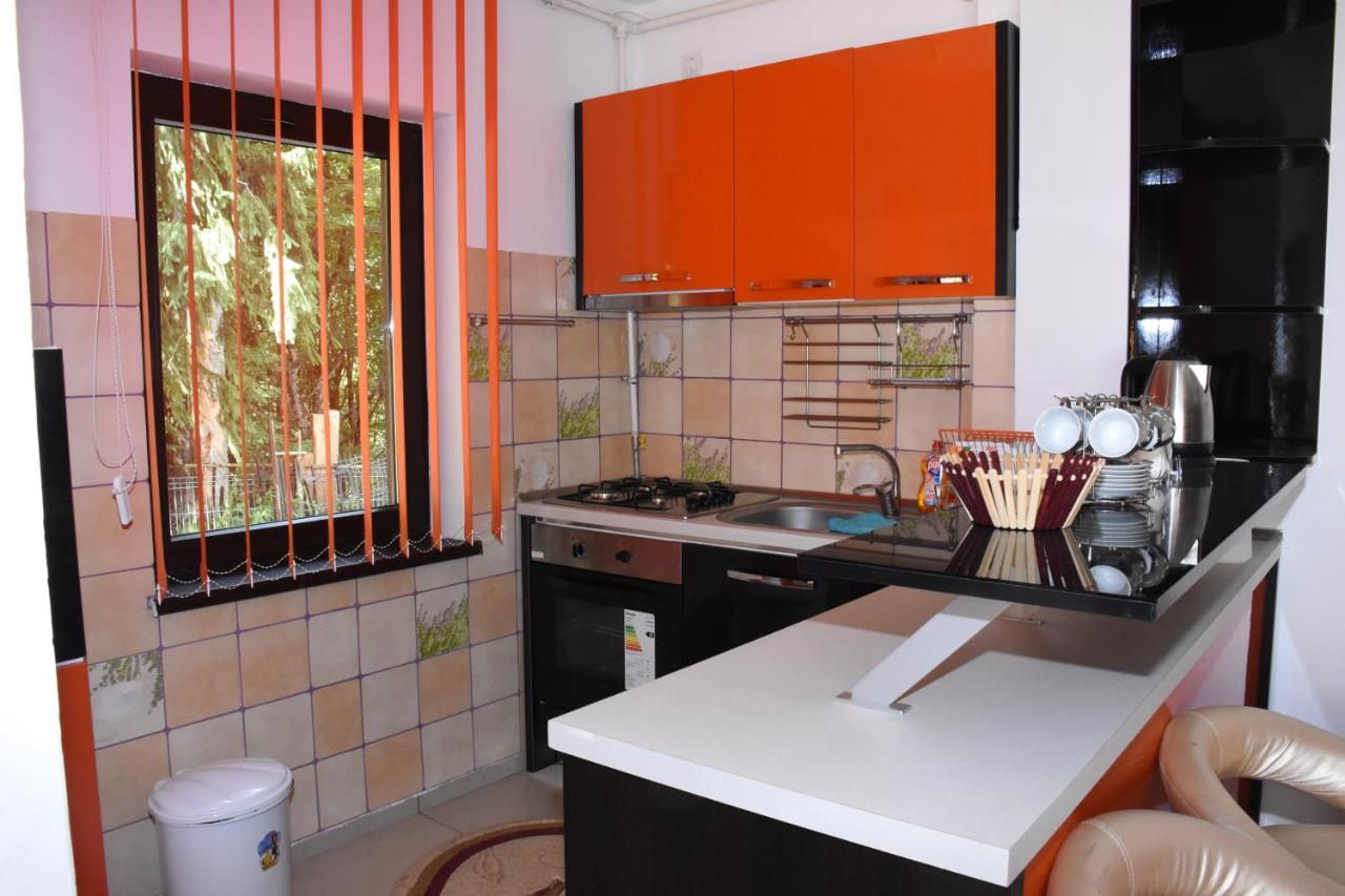 Hotel Apartament Eldya Comfort&Suites Predeal Esterno foto