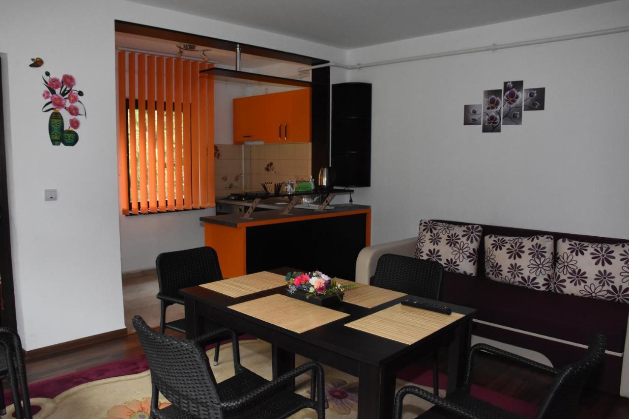 Hotel Apartament Eldya Comfort&Suites Predeal Esterno foto
