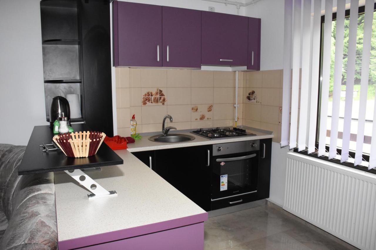 Hotel Apartament Eldya Comfort&Suites Predeal Esterno foto